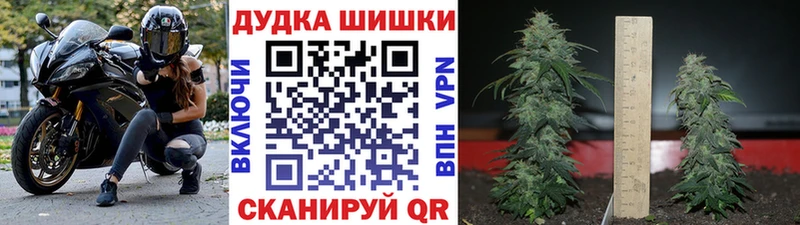 МАРИХУАНА план  Усолье-Сибирское 